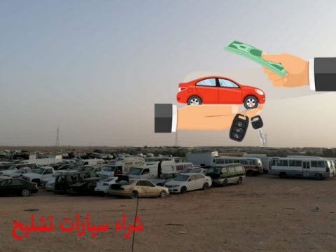 من نحن 1 جميع انواع السيارات scaled